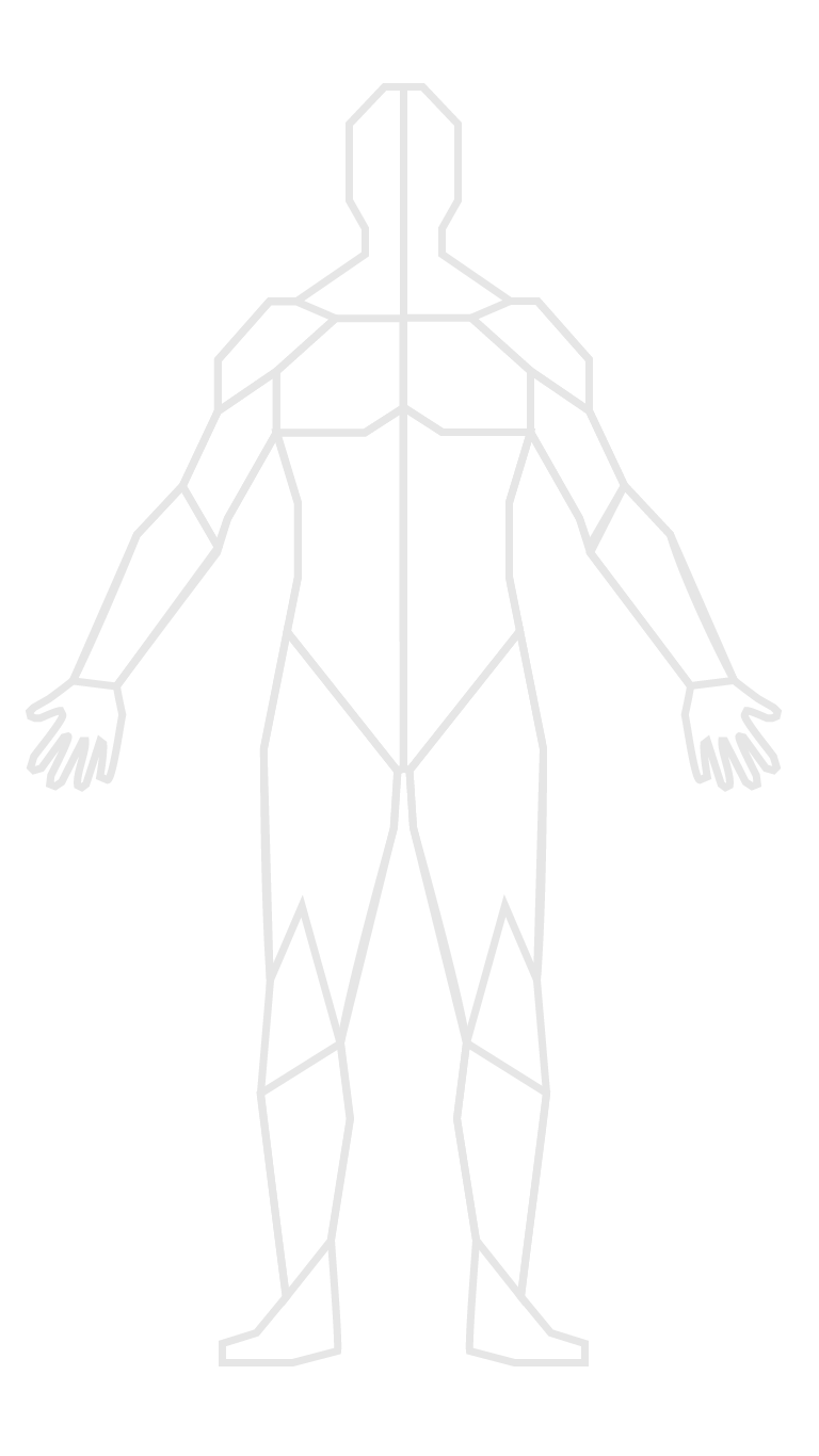 anatomy outline